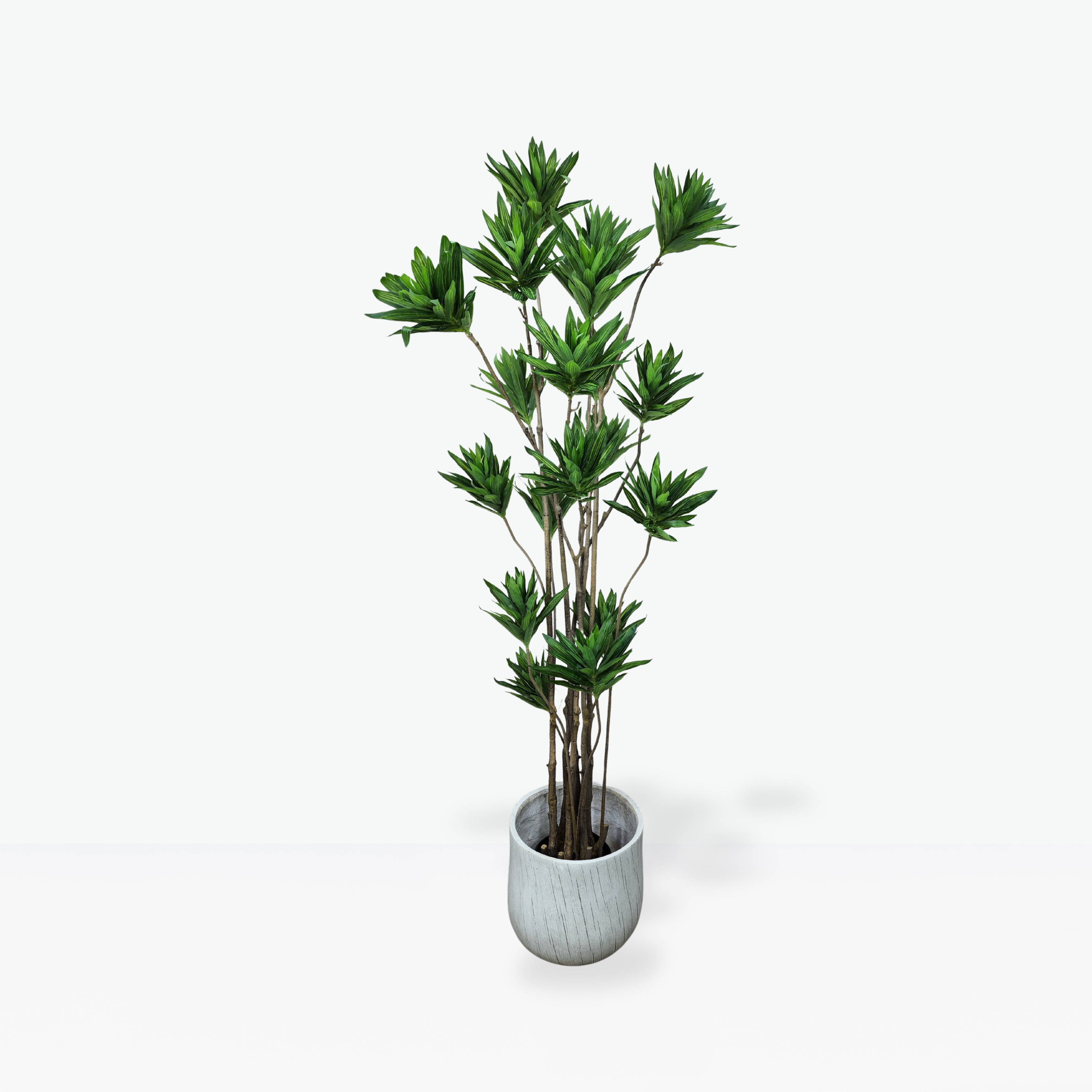 Artificial Dracaena Plant
